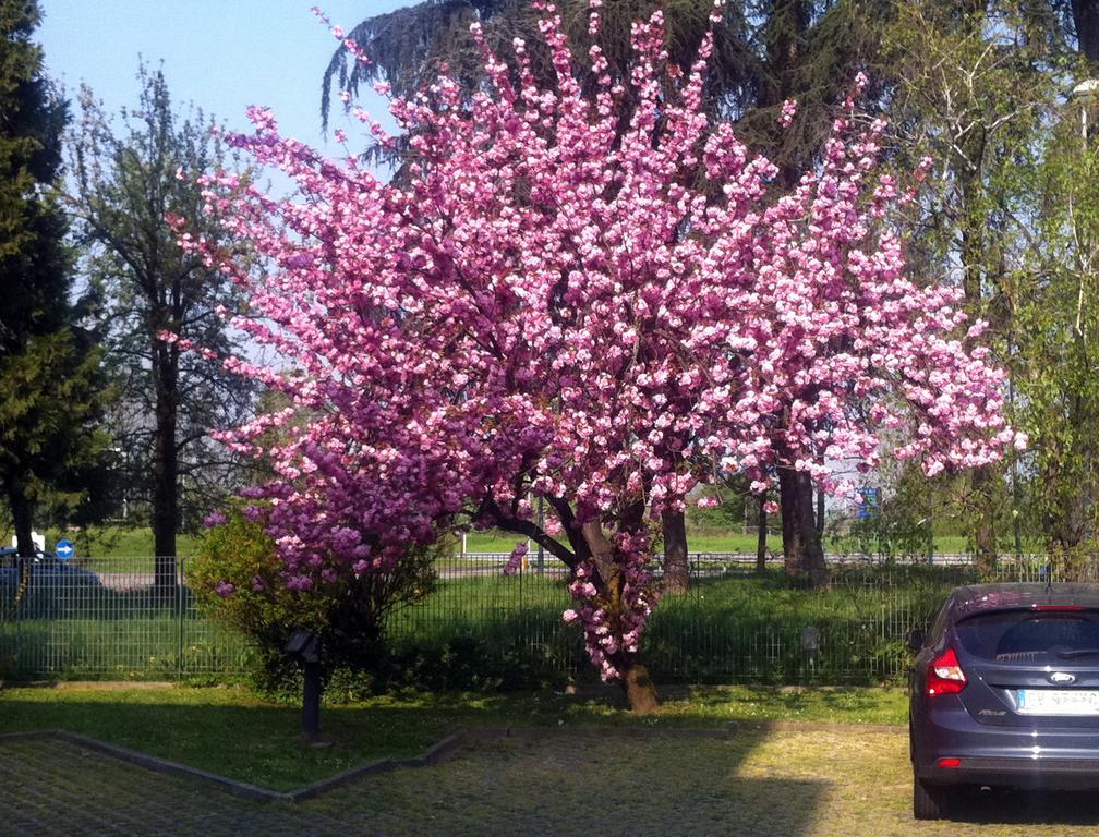 Hotel Forum Rozzano Kültér fotó